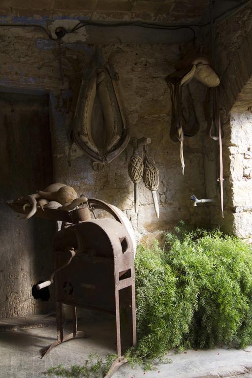 Can Barnosell - Els Masos D'En Coll Llaviá エクステリア 写真
